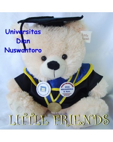 Boneka Wisuda Universitas Dian Nuswantoro (30 cm)